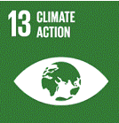 SDG 13
